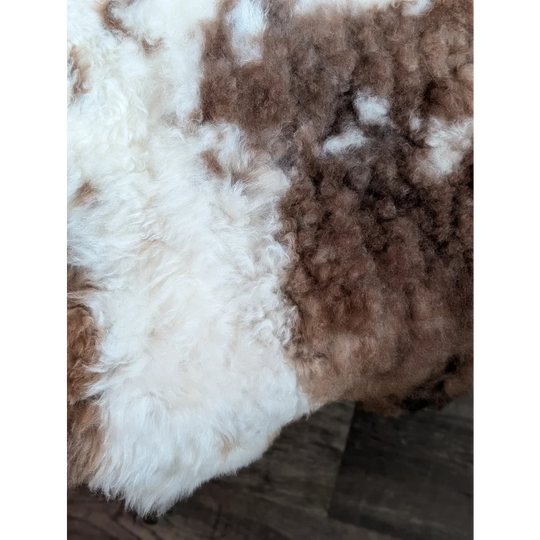A plush grade a- highland spotted sheepskin rug with natural white and brown curly patchwork patterns