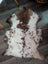 A plush grade a- highland spotted sheepskin rug with soft white and brown speckled natural wool texture