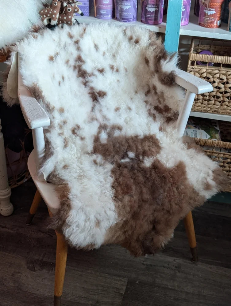 A fluffy white and brown highland spotted grade a- sheepskin rug draped over a wooden chair