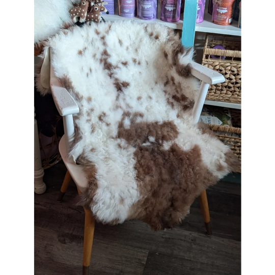 A fluffy white and brown highland spotted grade a- sheepskin rug draped over a wooden chair