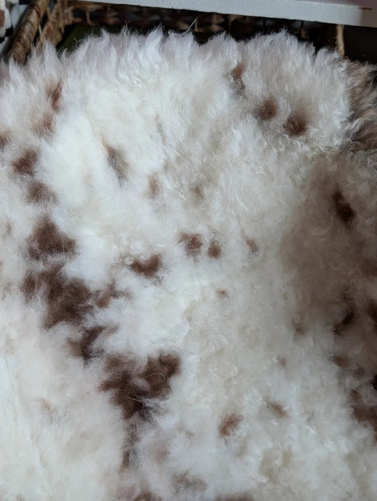 A plush white and brown spotted highland spotted grade a- sheepskin rug with soft curly texture