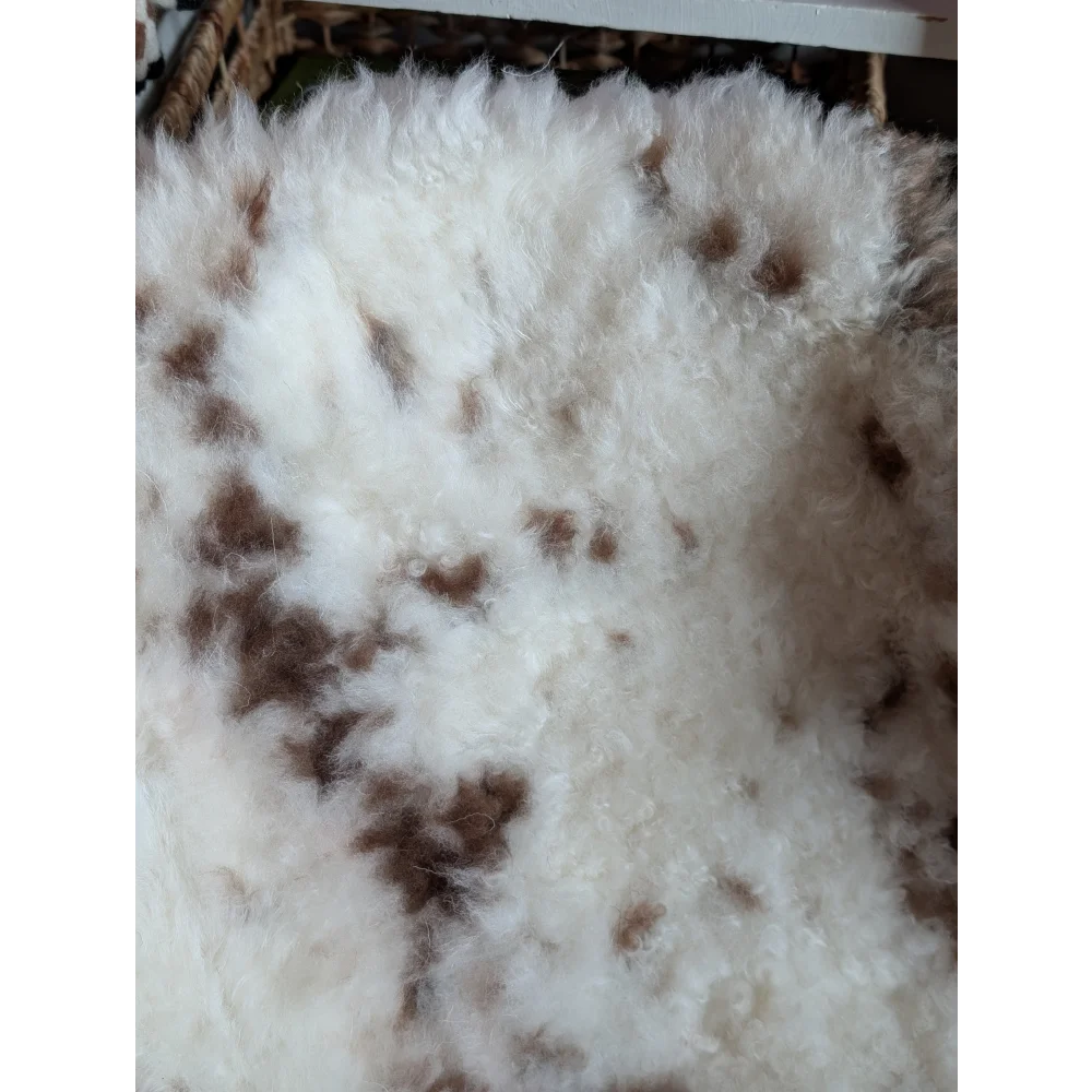 A plush white and brown spotted highland spotted grade a- sheepskin rug with soft curly texture