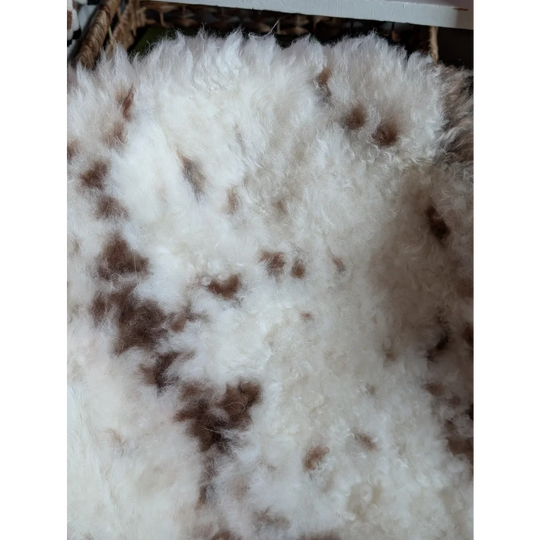 A plush white and brown spotted highland spotted grade a- sheepskin rug with soft curly texture