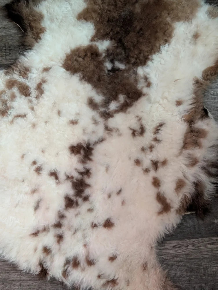 A plush grade a- sheepskin rug with a soft white base and brown patches from the highland spotted collection