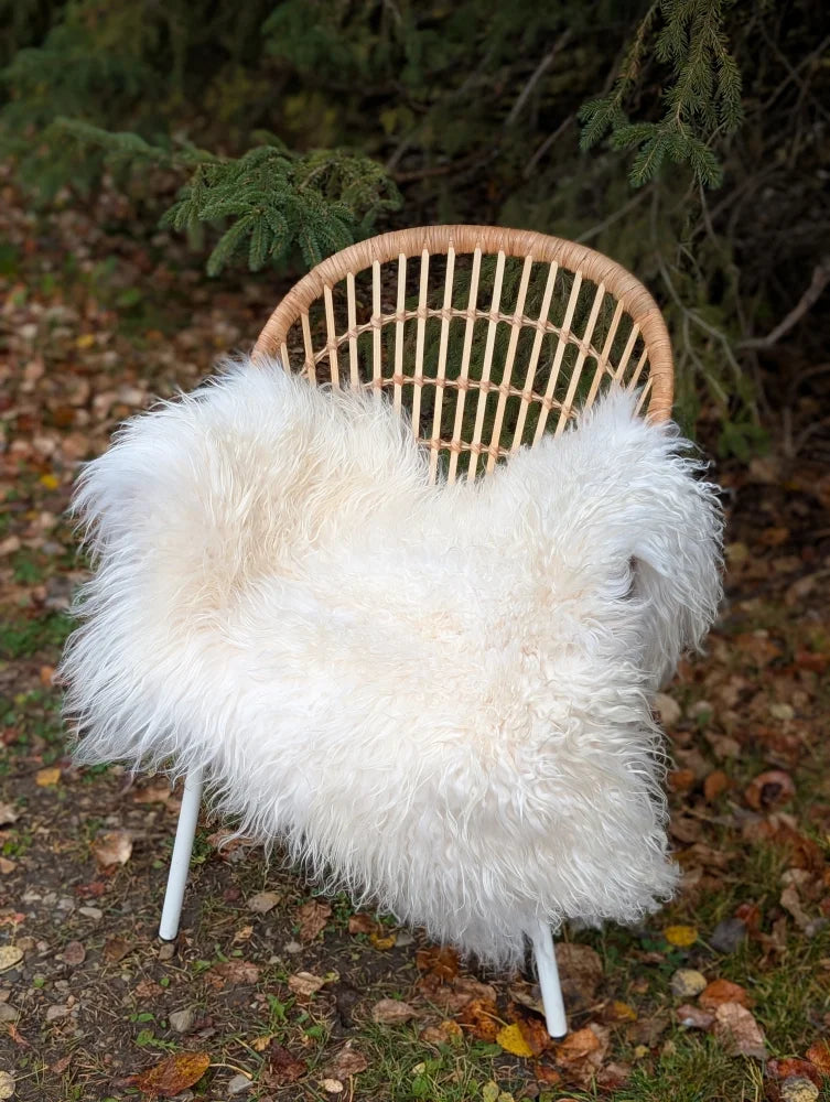 White fluffy natural white icelandic sheepskin long wool throw draped over wicker chair with white metal legs