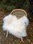 White fluffy natural white icelandic sheepskin long wool throw draped over wicker chair with white metal legs