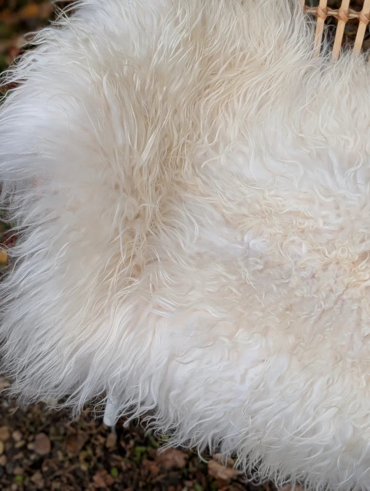 A large long wool icelandic sheepskin rug in natural white with plush curly fibers and soft fluffy texture