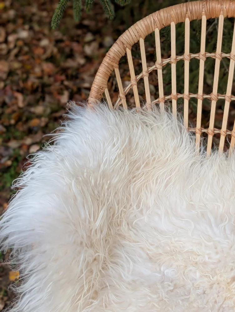 A large long wool natural white icelandic sheepskin throw with soft curls on a woven wicker chair