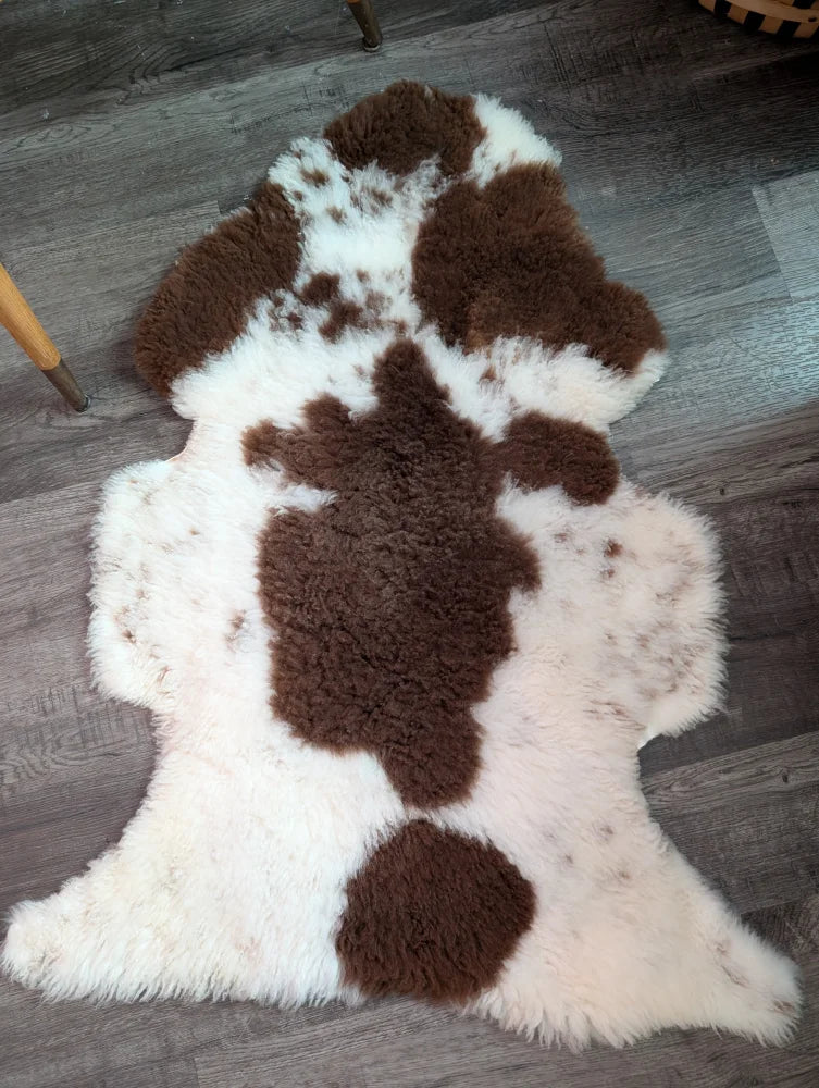 Brown and white highland spotted sheepskin rug with plush fluffy texture grade a sheepskins perfect for cozy decor