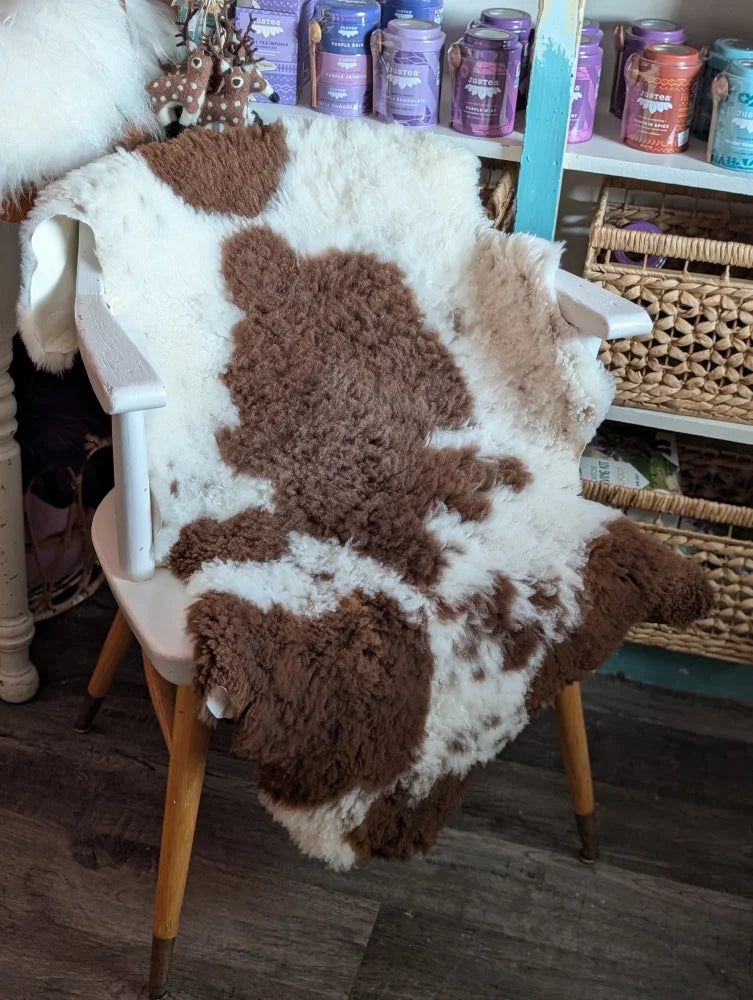Brown and white highland spotted grade a- sheepskin rug draped over chair adds cozy rustic charm