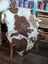 Brown and white highland spotted grade a- sheepskin rug draped over chair adds cozy rustic charm