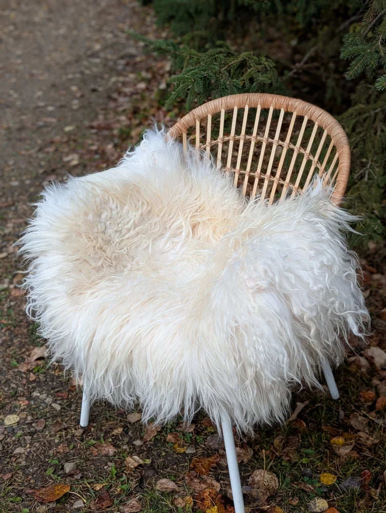 A plush natural white icelandic sheepskin long wool throw draped over a woven rattan chair with white metal legs