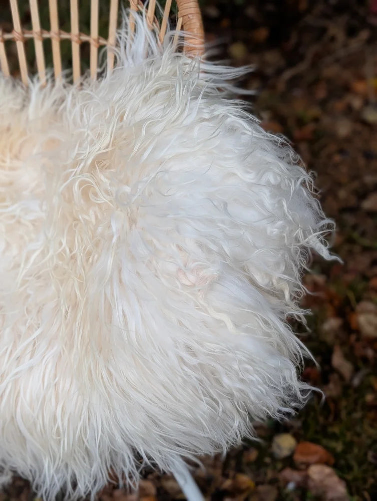 A plush natural white icelandic sheepskin throw with long wool fibers draped over a woven wicker chair