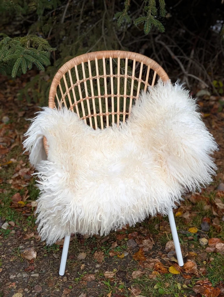 A plush natural white icelandic sheepskin long wool throw draped over a woven rattan chair with white metal legs
