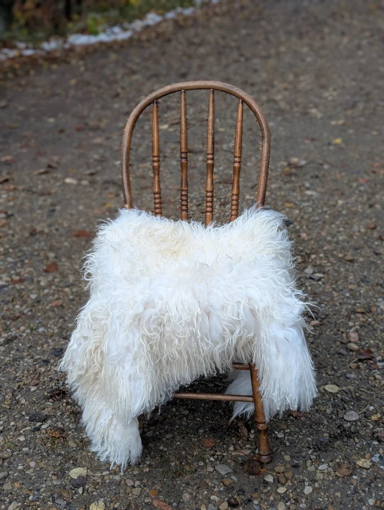 White fluffy Icelandic sheepskin rug with long wool draped over vintage wooden chair natural white tone