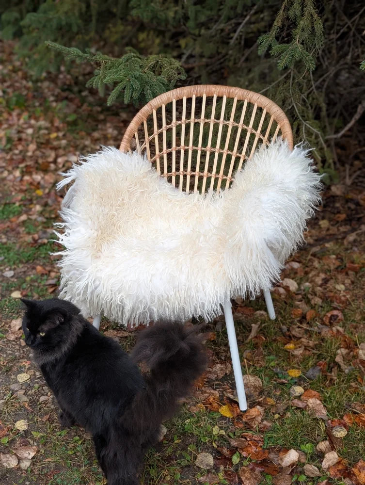 A cozy natural white icelandic sheepskin throw with long wool draped over a woven rattan chair with metal legs