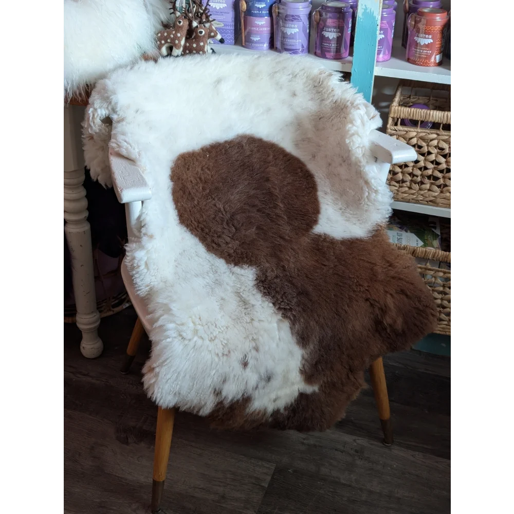 A cozy white and brown highland spotted grade a- sheepskin rug draped over a chair for stylish comfort