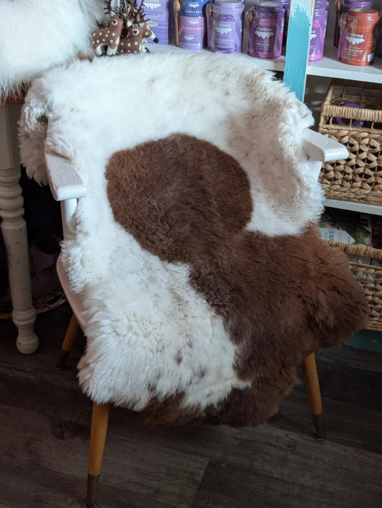 A cozy white and brown highland spotted grade a- sheepskin rug draped over a chair for stylish comfort