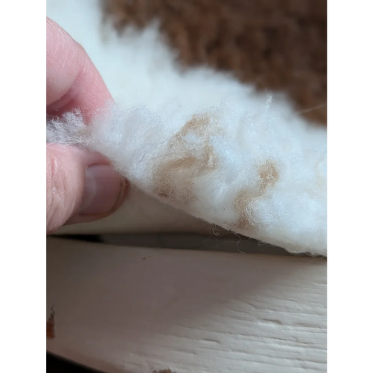 White fluffy cotton stuffing with light brown stains on the back of a grade a- tibet highland spotted sheepskin