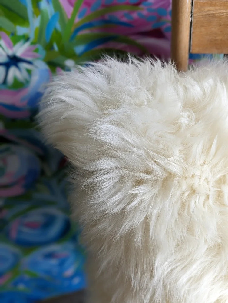 White fluffy Merino sheepskin cushion cover with dog toy texture, 16x16