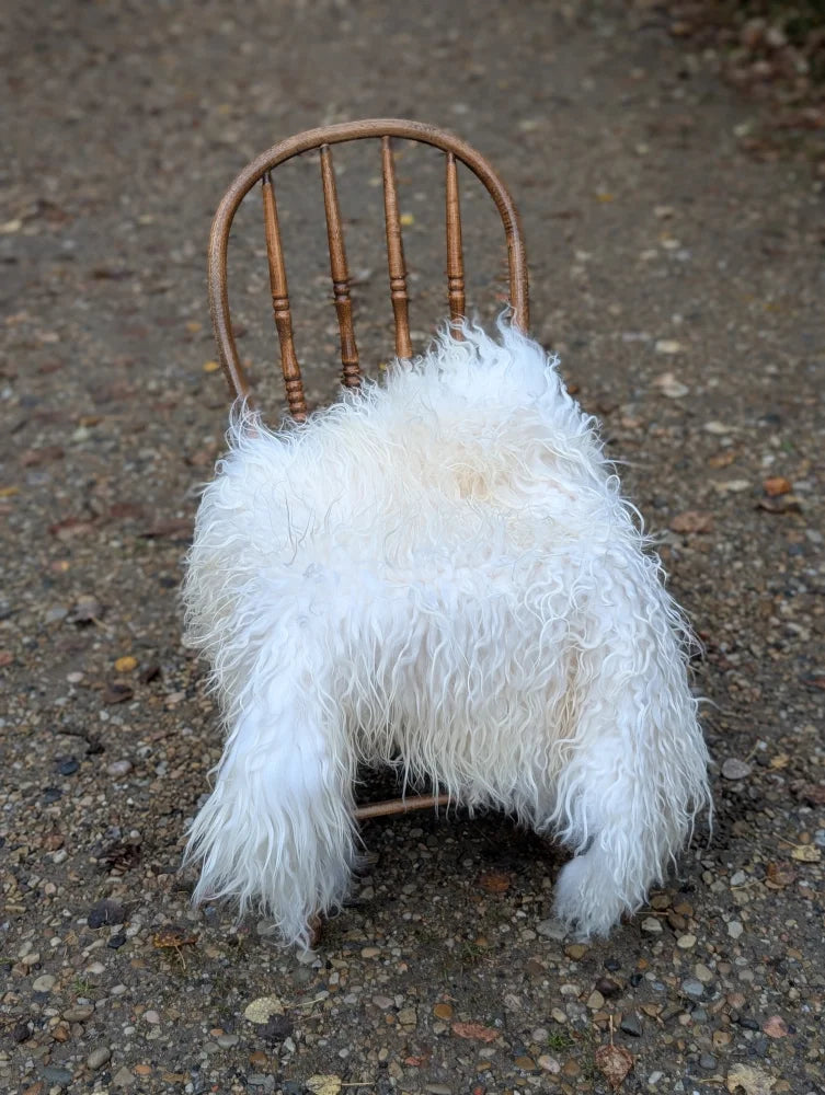 A fluffy natural white icelandic sheepskin with long wool draped over a rustic wooden chair
