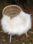 A cozy natural white icelandic sheepskin with long wool draped over a woven rattan chair with white slender legs