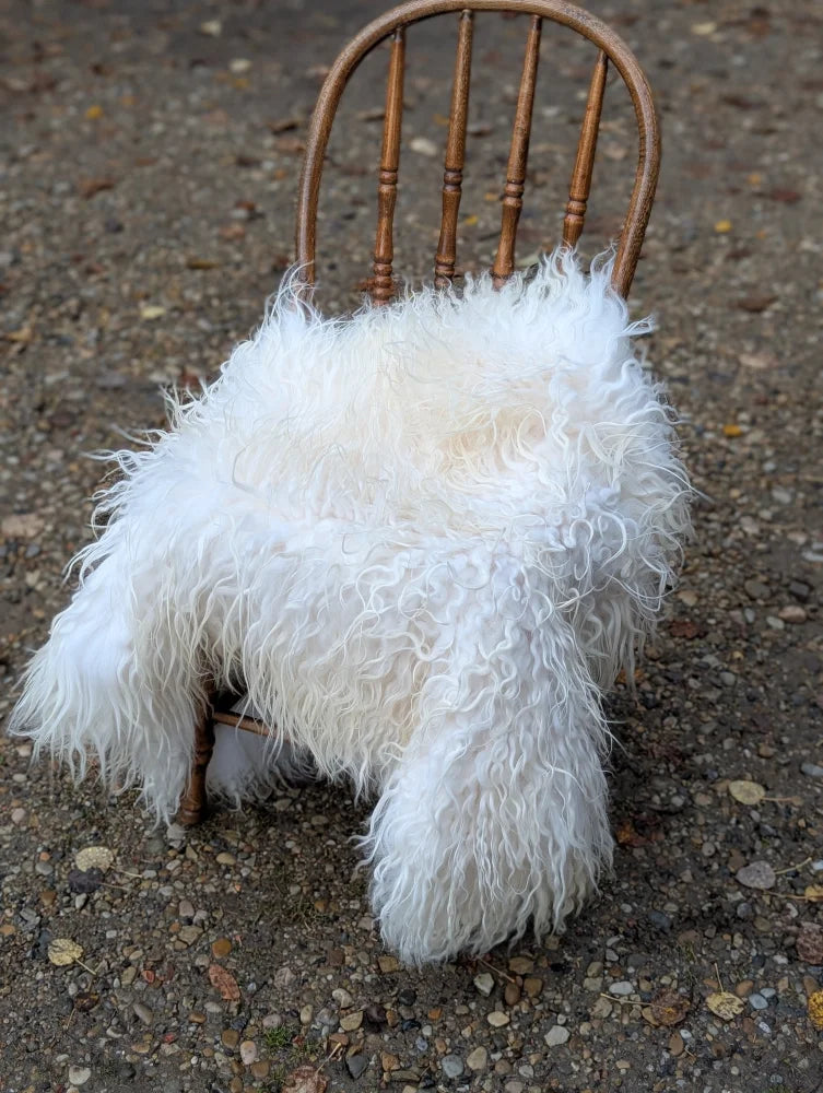 A plush natural white icelandic sheepskin throw with long wool draped over a wooden chair