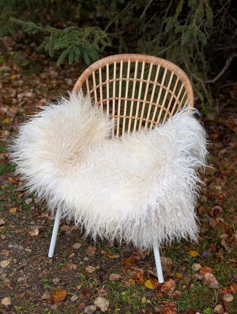 A cozy natural white icelandic sheepskin long wool throw draped over a woven wicker chair with metal legs