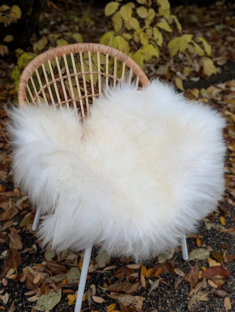White fluffy large long wool natural white icelandic sheepskin draped over wicker chair cover