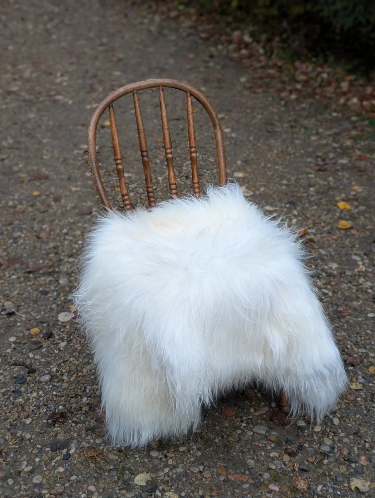 A natural white icelandic sheepskin long wool throw draped over a rustic wooden chair for cozy decor