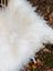 A plush natural white icelandic sheepskin throw with large long wool fibers and a soft uneven texture