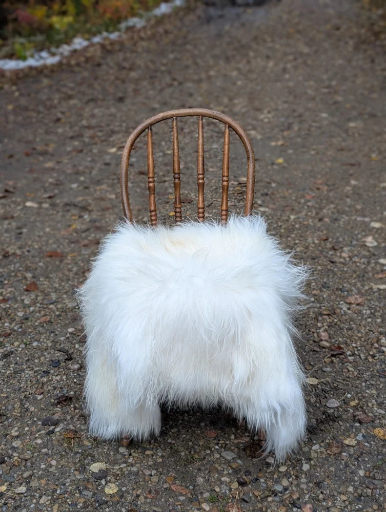 A rustic wooden chair draped with a large long wool natural white icelandic sheepskin fluffy faux fur blanket