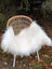 White fluffy natural white icelandic sheepskin long wool chair cover draped over wicker chair with white metal legs