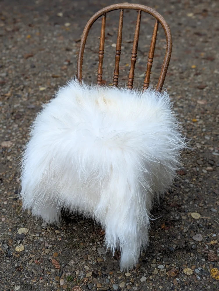 A natural white icelandic sheepskin with long wool draped over a rustic wooden chair as a plush throw
