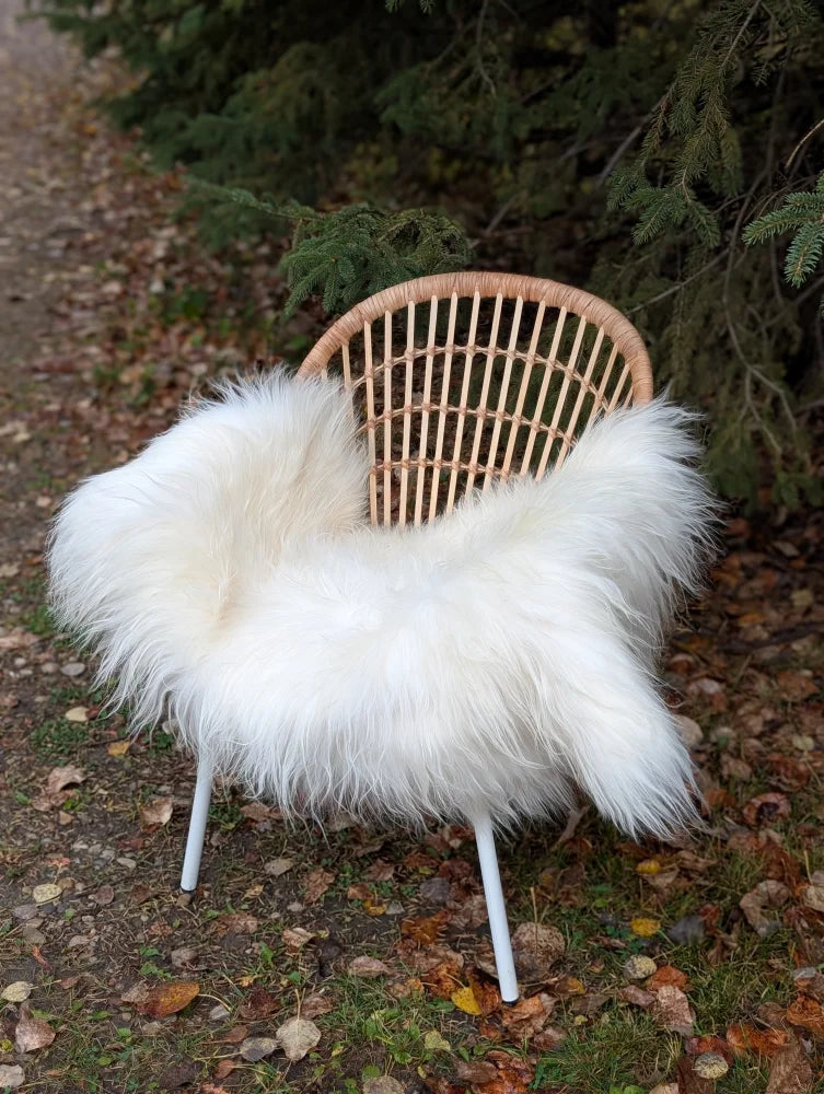 A cozy natural white icelandic sheepskin long wool throw draped over a woven rattan chair with metal legs