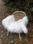 A cozy natural white icelandic sheepskin long wool throw draped over a woven rattan chair with metal legs
