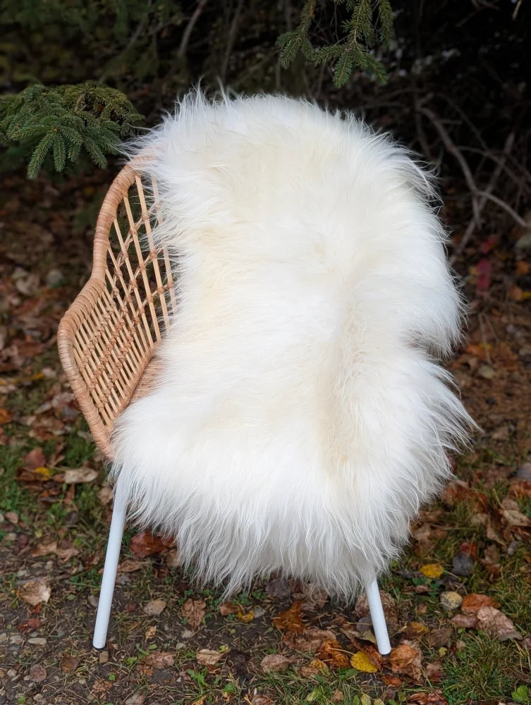 White fluffy icelandic sheepskin long wool throw in natural white draped over a wicker chair