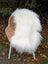 White fluffy icelandic sheepskin long wool throw in natural white draped over a wicker chair