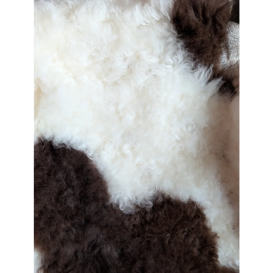A white and brown curly fur rug made from grade a- tibet highland spotted sheepskin for cozy home decor