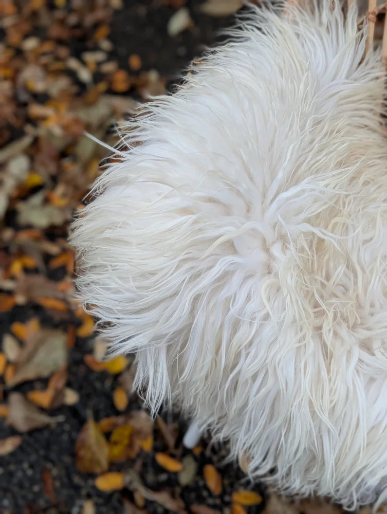 A large long wool natural white icelandic sheepskin throw with plush fluffy fur and soft strands