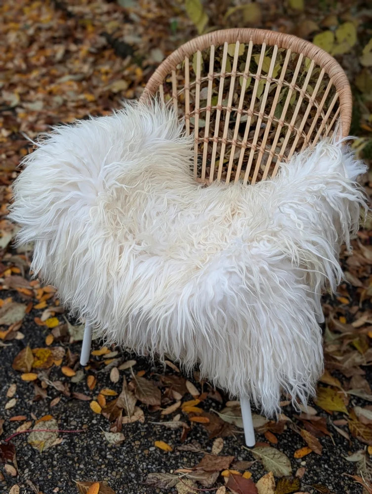 A cozy natural white icelandic sheepskin long wool throw draped over a woven rattan chair