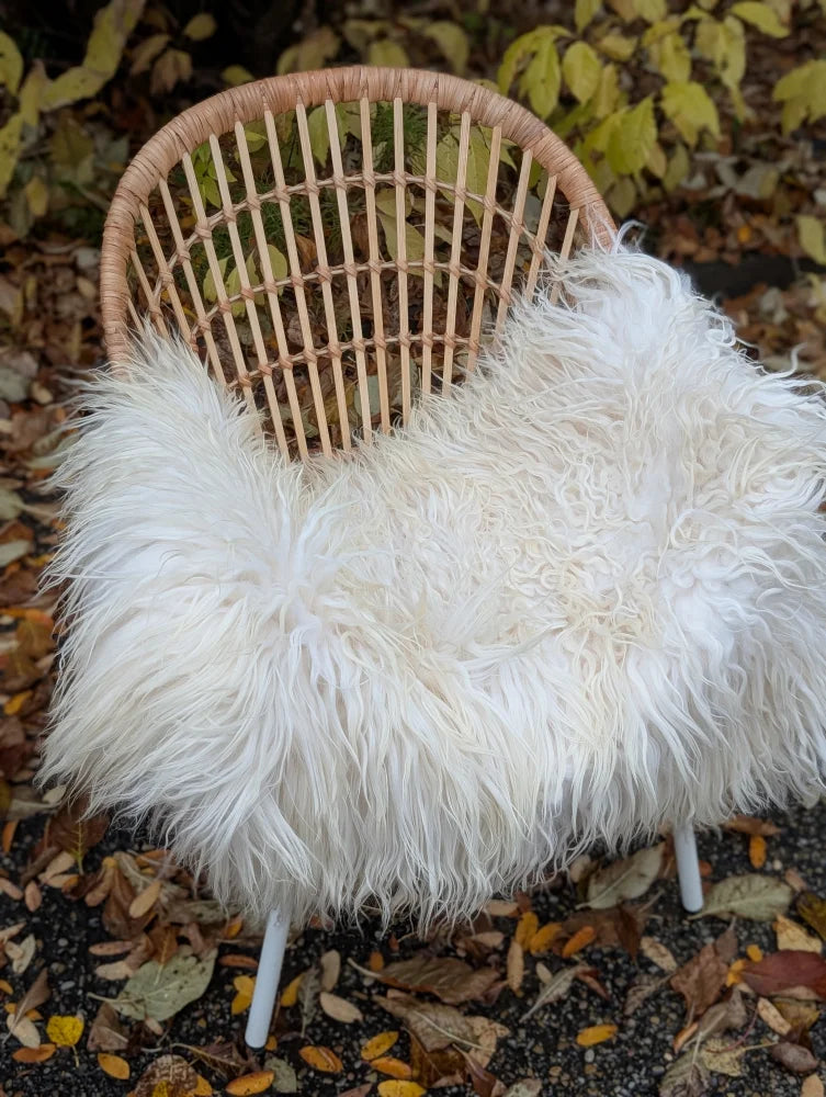 A cozy natural white icelandic sheepskin with long wool draped over a woven rattan chair
