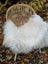 A cozy natural white icelandic sheepskin with long wool draped over a woven rattan chair