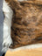 Brown and white cowhide merino sheepskin cushion with plush natural fur texture and one of a kind design