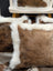 Brown and white cowhide merino sheepskin cushion with plush natural fur texture for cozy home decor