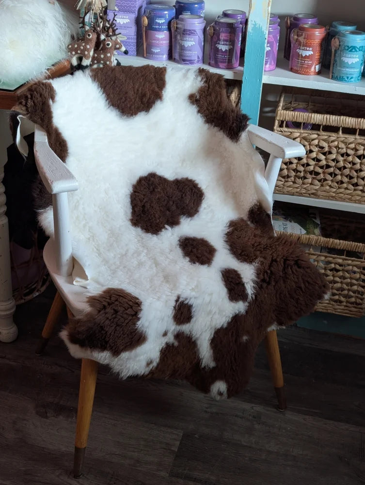 A plush brown and white highland spotted grade a- sheepskin rug draped over a white wooden chair