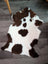 A plush white and brown highland spotted grade a- sheepskin rug with a soft fluffy texture perfect for cozy decor