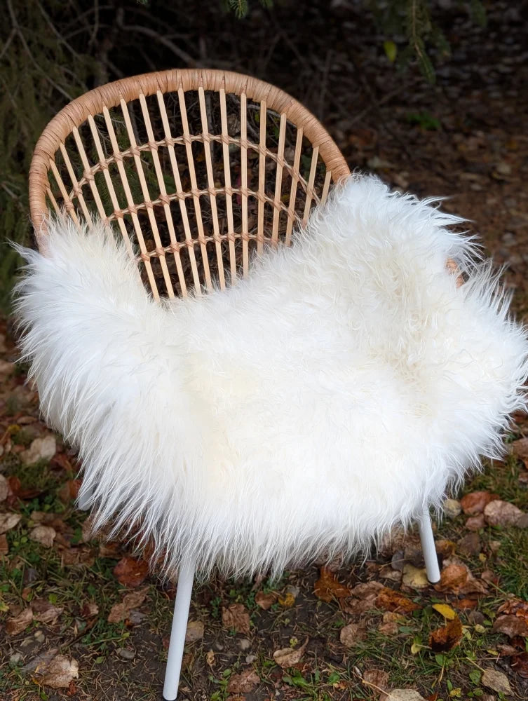 Large long wool natural white icelandic sheepskin throw draped over a woven wicker chair for cozy decor