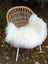 A cozy natural white icelandic sheepskin long wool throw draped over a woven rattan chair with white legs