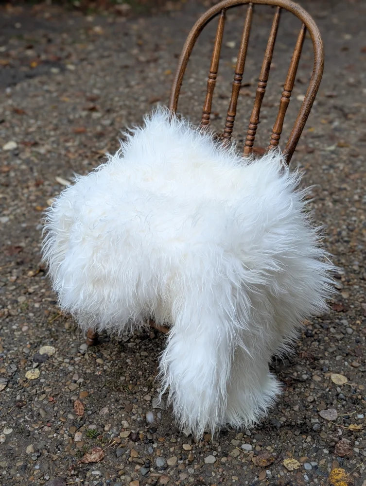 Large long wool natural white Icelandic sheepskin draped over wooden chair as a fluffy sheepskin cover